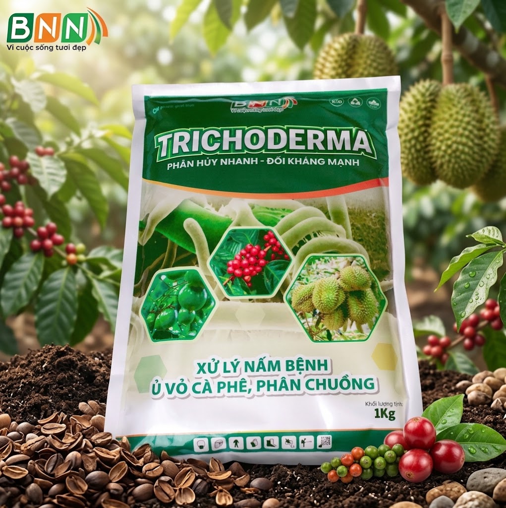 Chế phẩm sinh học Tricodema