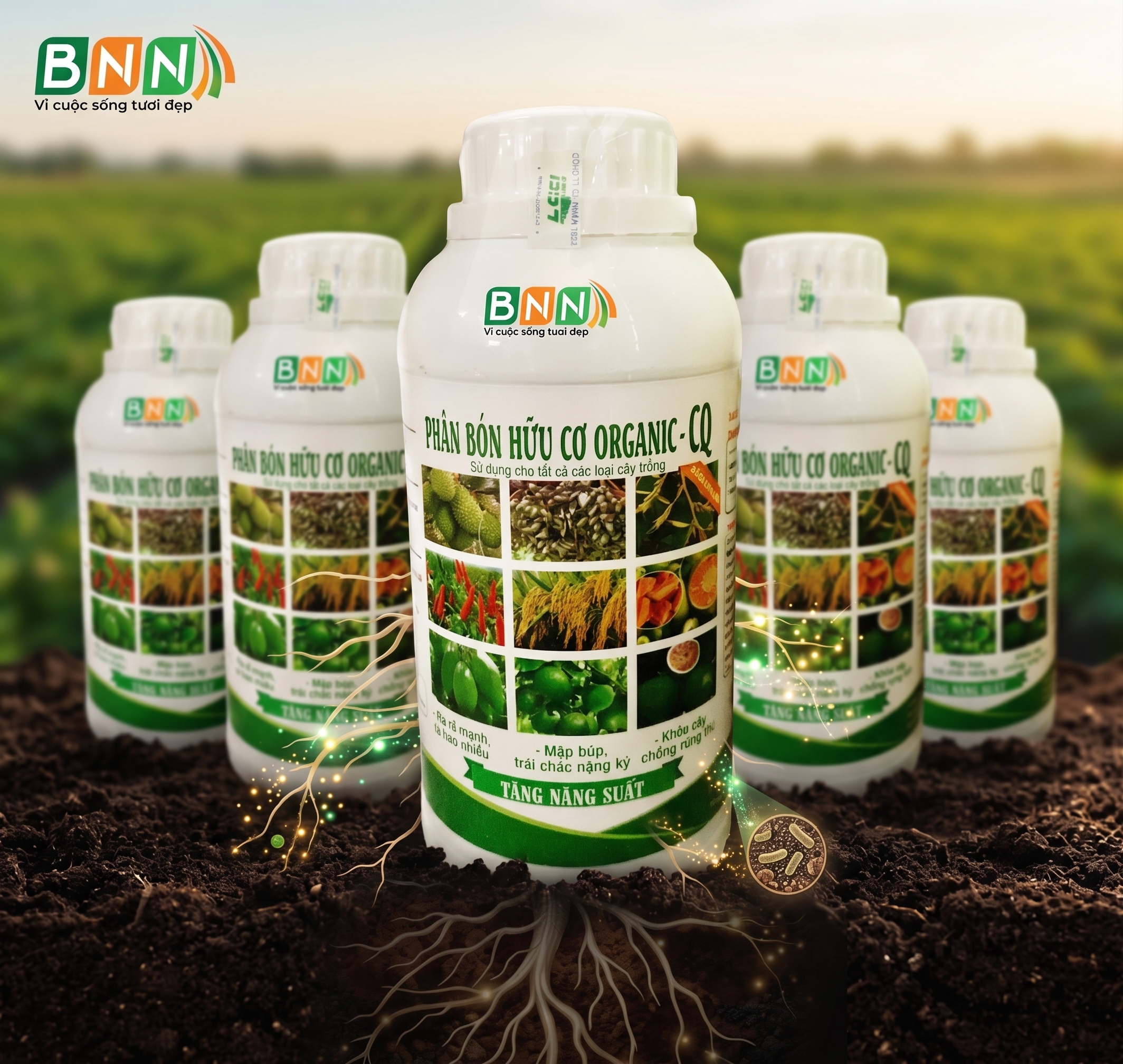 Organic - RQ
